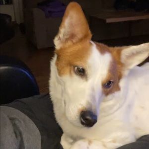 Meet your Posher, Patricia